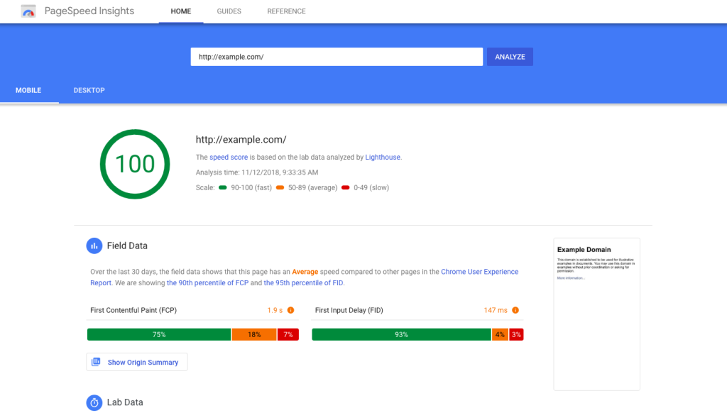 PageSpeed Insights performance score analyzed by an SEO expert